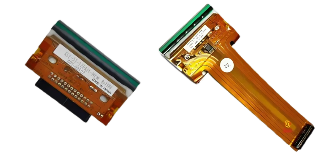 combined__2_-removebg-preview (1).png